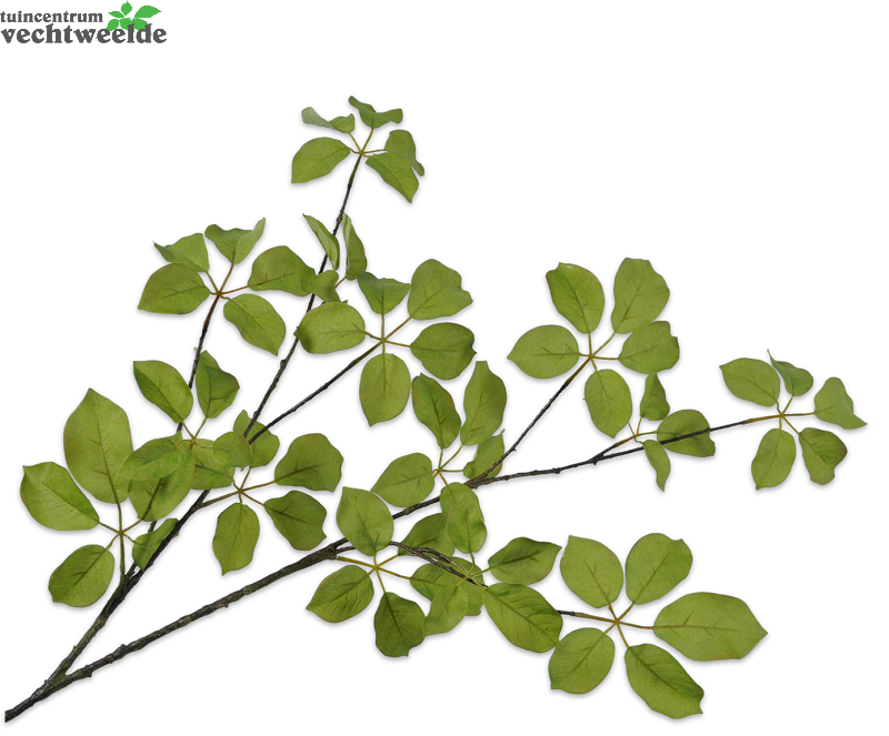 Bladtak L134cm Groen