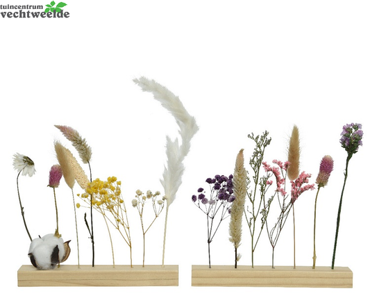 Decoris Bloem Naturel L21b3h21cm Multi