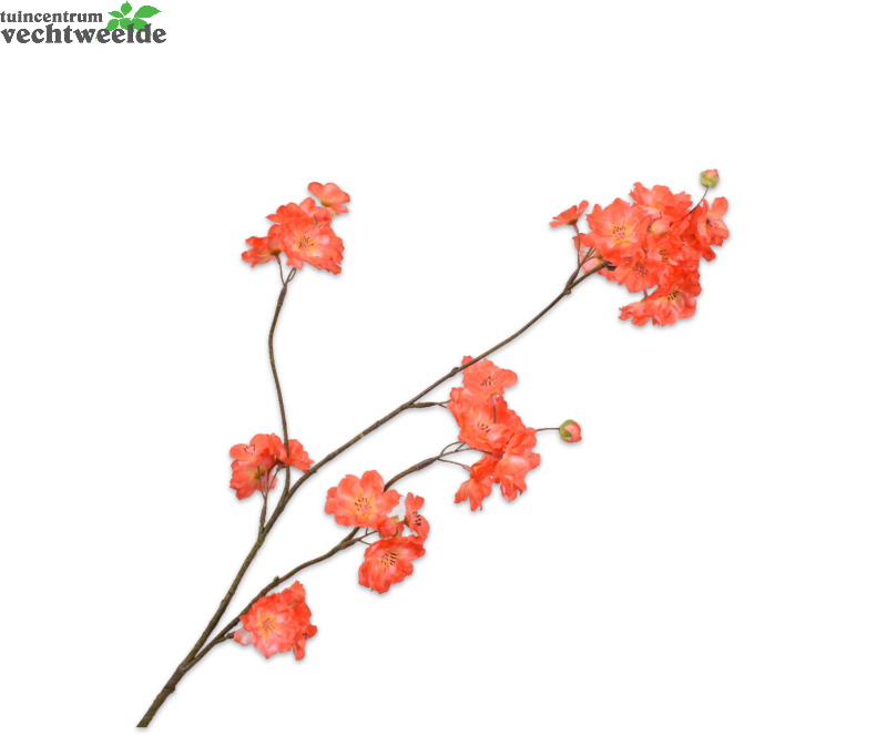  Bloesemsteel L84cm Oranje