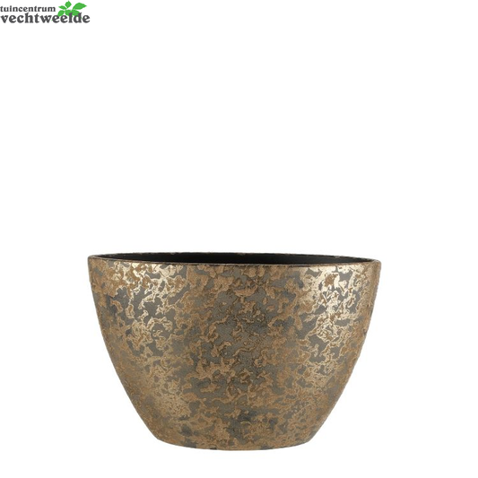  Boot Clemente L41b20h26cm Goud - Mica
