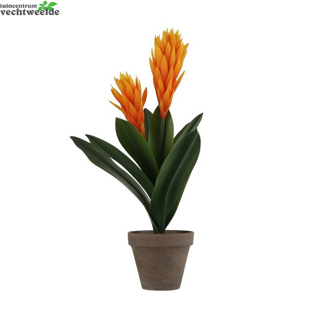  Bromelia In Pot D30h45cm Oranje (Zijde-plant)
