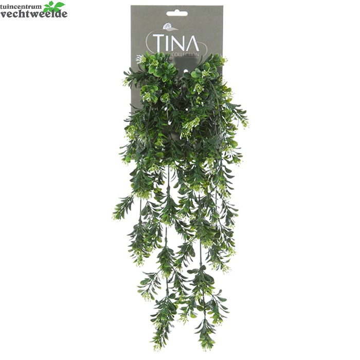  Buxus Bloeiend Hanger L50cm Groen/wit (Zijde-plant)