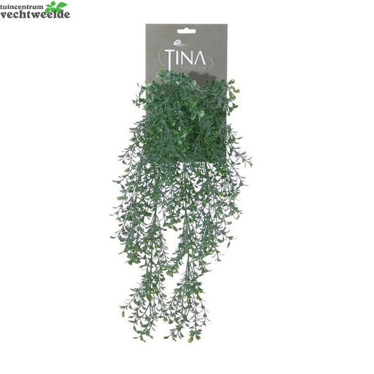  Buxus Hanger L50cm Groen Hanger (Zijde-pant)