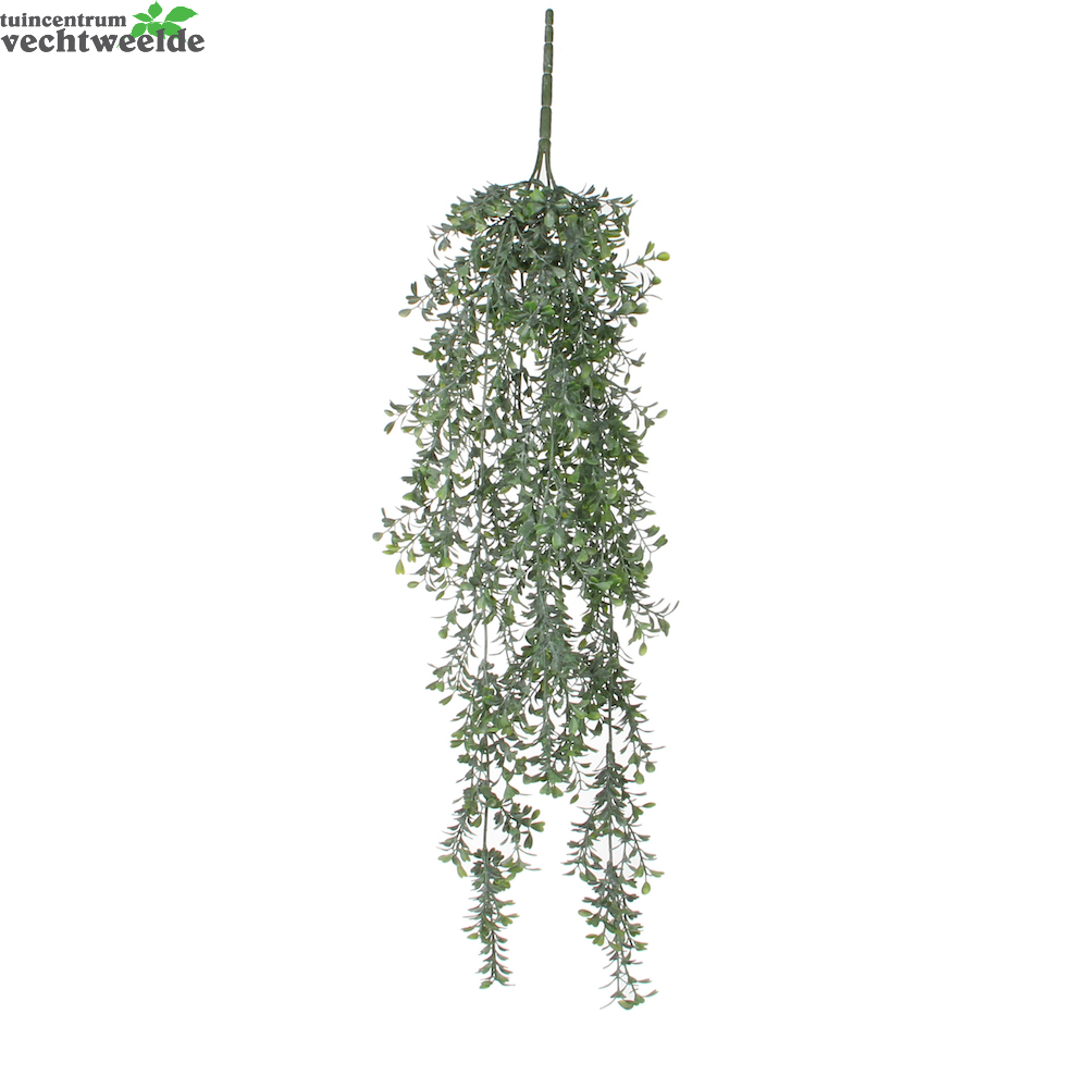  Buxus L74cm Groen (Zijde-plant)