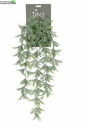  Centauria Hanger L70cm Groen Header