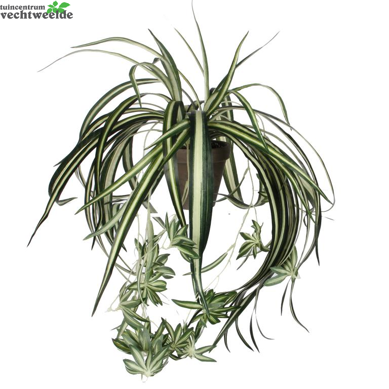  Chlorophytum Hang In Pot D45cm Groen (Zijde-plant)