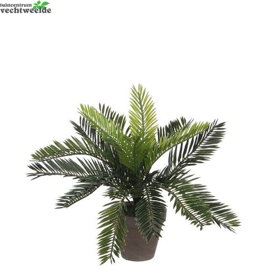  Cycas Palm In Pot D34h33cm Groen (Zijde-plant)