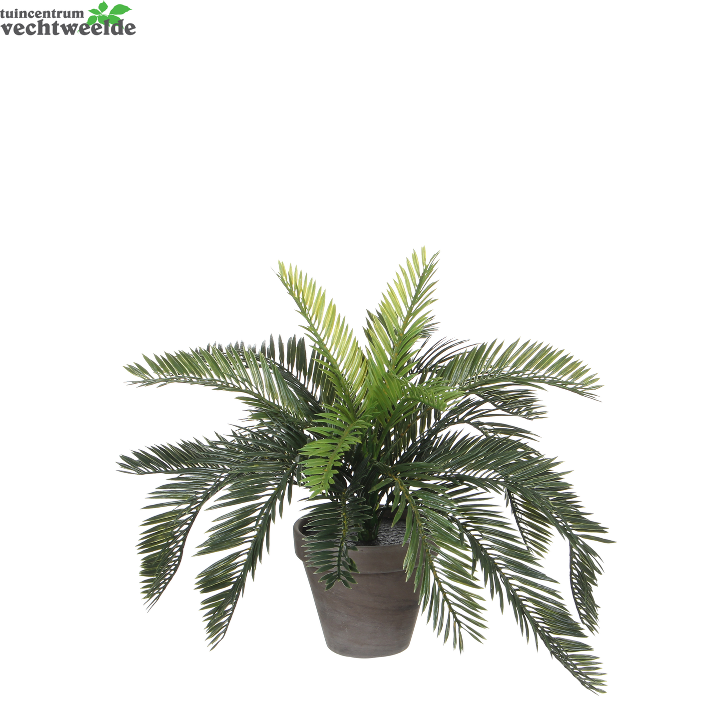  Cycas Palm In Pot D44h37cm Groen (Zijde-plant)