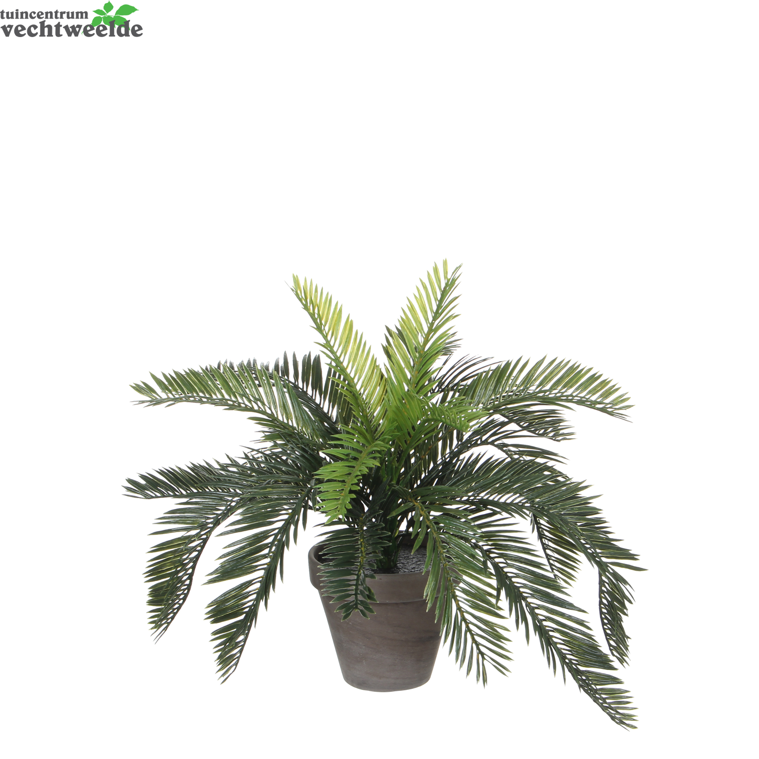  Cycas Palm In Pot D44h37cm Groen (Zijde-plant)