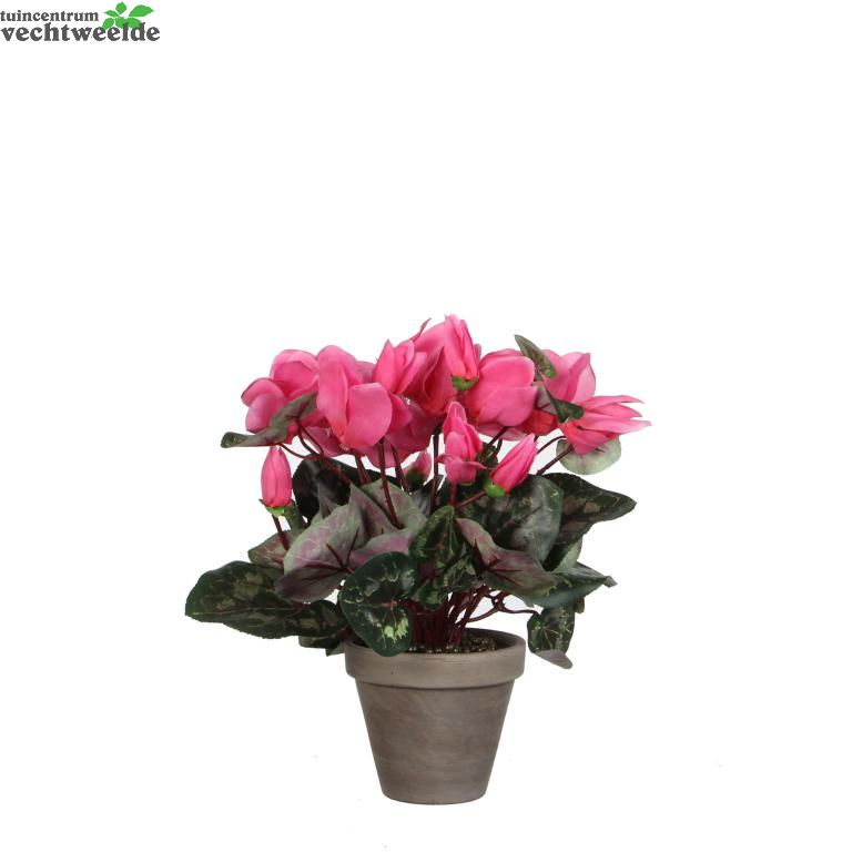  Cyclaam D30h30cm L.roze (Zijde-plant)