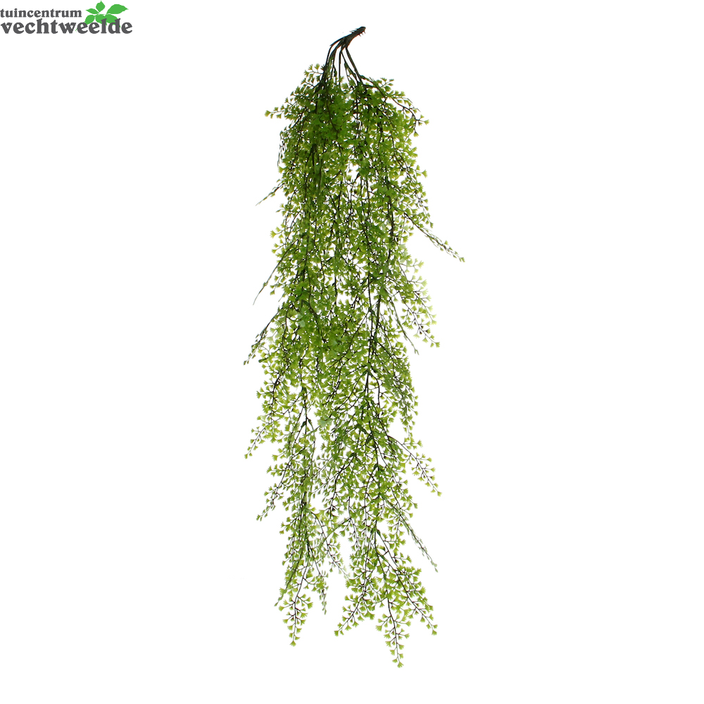  Cypres Conifer L95cm Groen