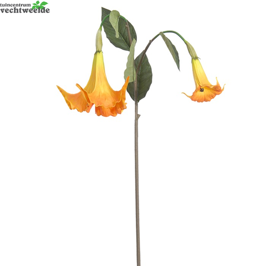  Daturasteel L100cm Oranje/geel