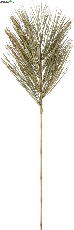  DECO TAK 150CM