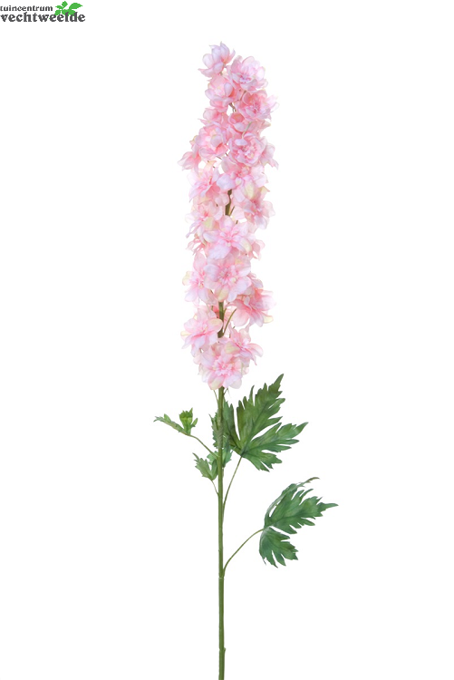  Delphiniumsteel L114cm Roze