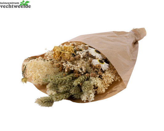 Decoris Droogbloemboeket D15h35cm A3