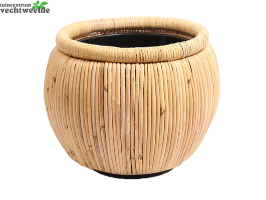  Drypot D47h35cm Blond