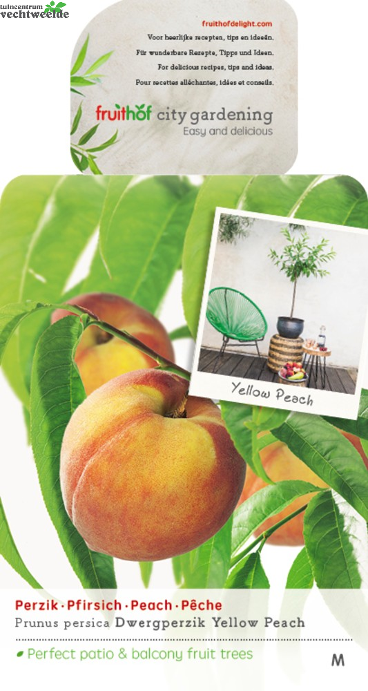  Dwergperzik 'Yellow Peach'