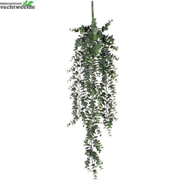 Eucalyptus Hang L78cm Groen (Zijde-plant)