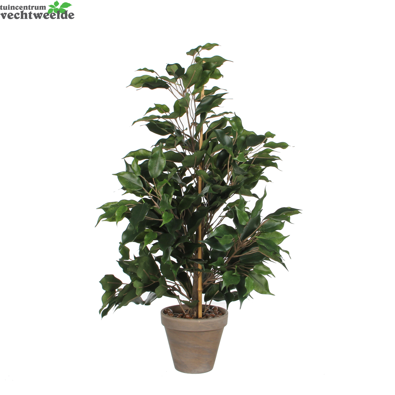  Ficus Exotica D40h65cm Groen (Zijde-plant)