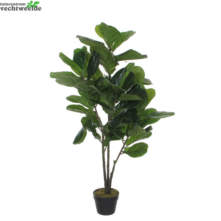  Ficus Lyrata In Pot H120d60cm Groen (Zijde-plant)