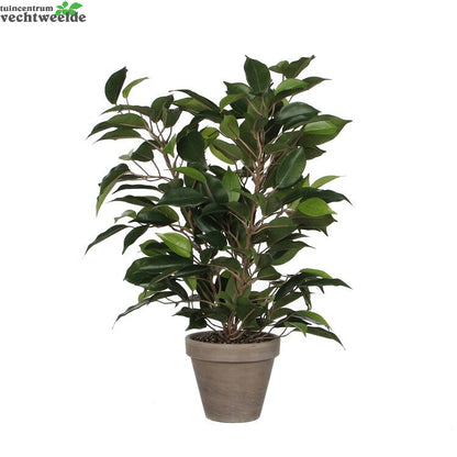  Ficus Natasja In Pot D30h40cm Groen (Zijde-plant)