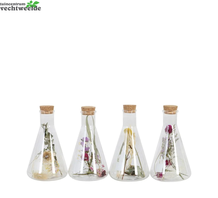  Fles + Bloemen L10b10h20cm Trnsprnt