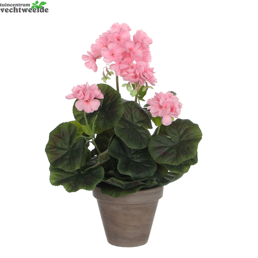  Geranium Groot D20h34cm Roze (Zijde-plant)