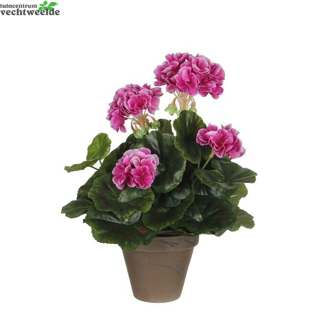  Geranium In Pot H33cm Paars (Zijde-plant)