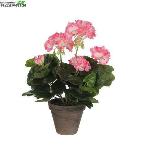  Geranium In Pot H33cm Roze Wit (Zijde-plant)
