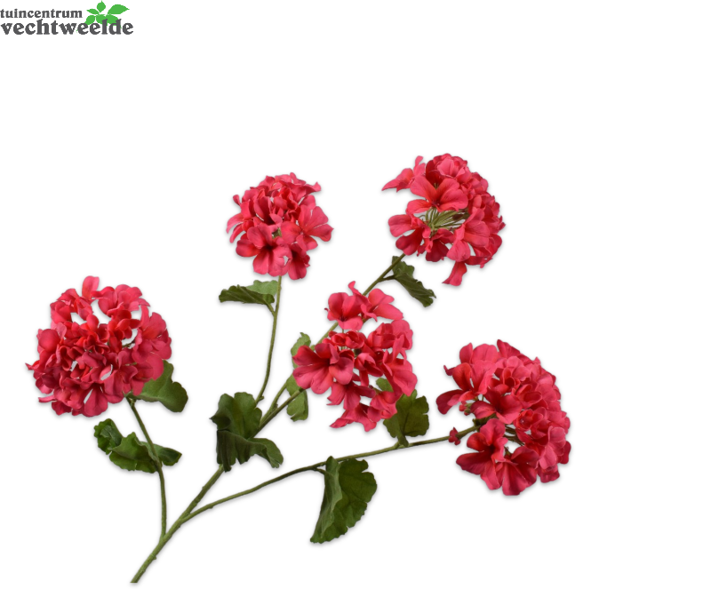  Geraniumsteel L94cm Roze/beauty