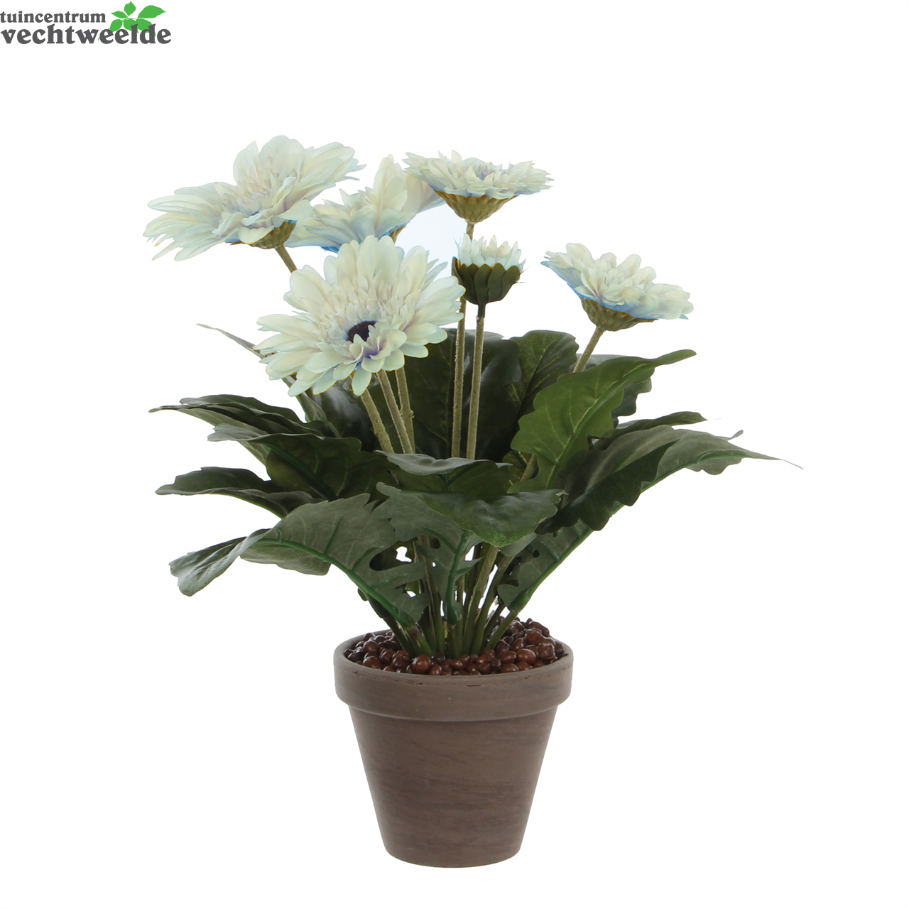  Gerbera D30h35cm Creme (Zijde-plant)