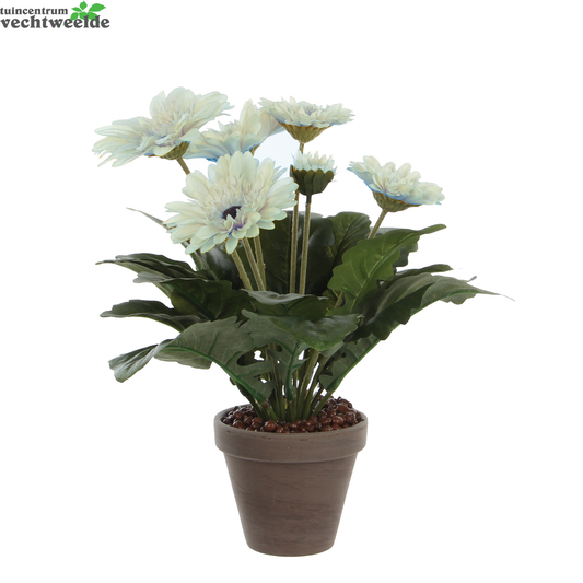  Gerbera D30h35cm Creme (Zijde-plant)