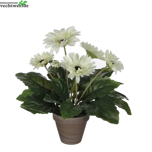  Gerbera D30h35cm Wit (Zijde-plant)