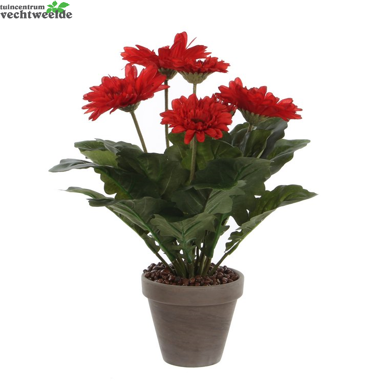  Gerbera In Pot D30h35cm Rood (Zijde-plant)