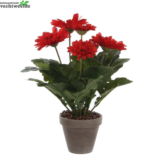  Gerbera In Pot D30h35cm Rood (Zijde-plant)