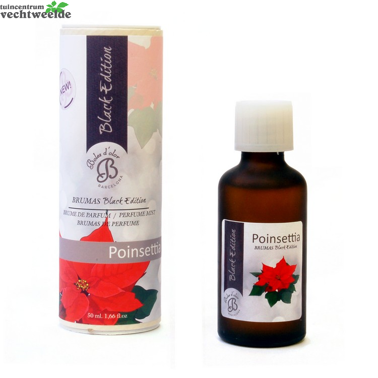  Geurolie 50ml Poinsettia