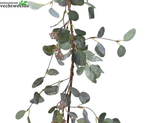 Guirlande Eucalyptus L24b12h150 Groen (Zijde-guirlande)