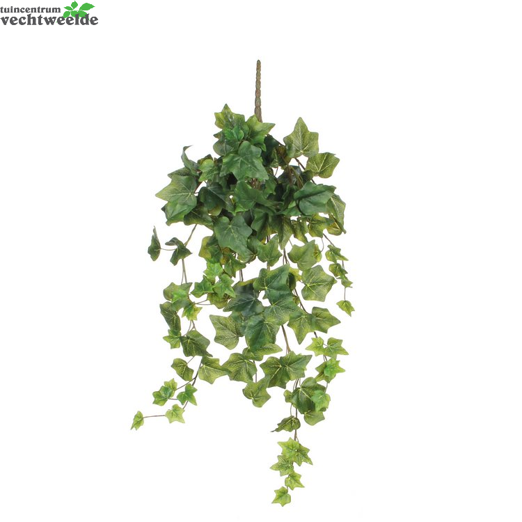  Hedera Hang L71cm Groen (Zijde-plant)