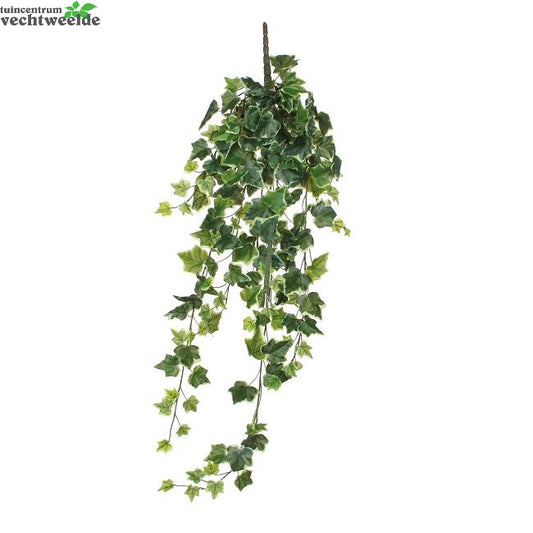  Hedera Hang L86cm Groen (Zijde-plant)