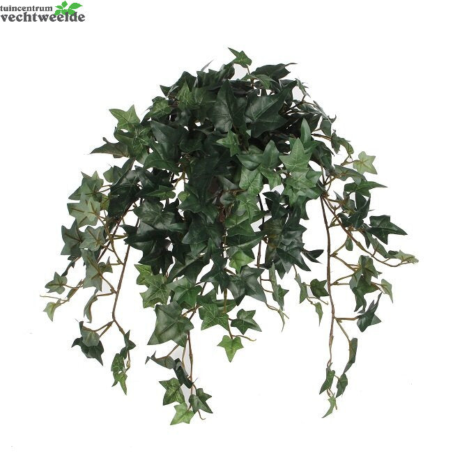  Hedera Hangpot L45b25h25cm Groen (Zijde-plant)