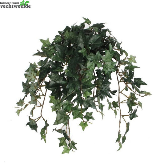  Hedera Hangpot L45b25h25cm Groen (Zijde-plant)