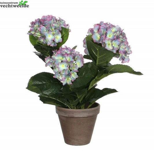  Hortensia In Pot D35h40cm Paars (Zijde-plant)