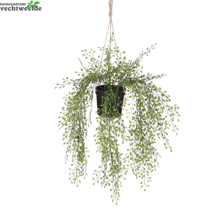  Jasmine Hang L46b9.5h9.5cm Groen (Zijde-plant)