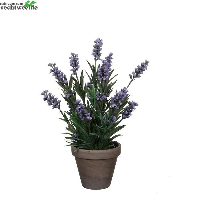  Lavendel In Pot D20h33cm Blauw (Zijde-plant)