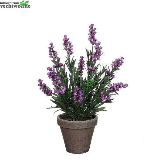  Lavendel In Pot D20h33cm Paars (Zijde-plant)