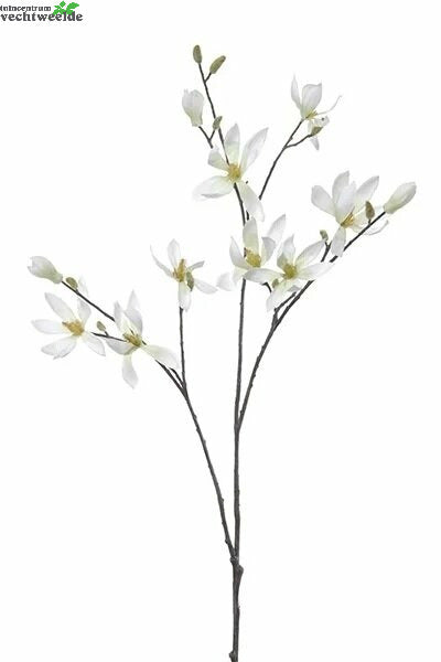  Magnolia Steel L100cm Wit/groen