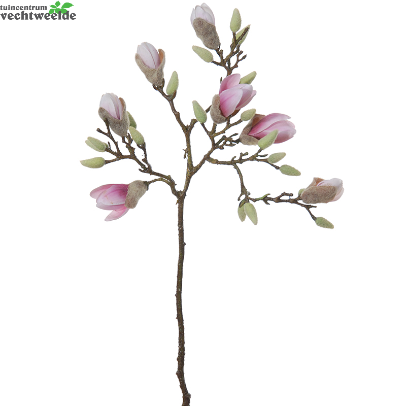  Magnoliasteel L70cm Cerise (Zijde-bloem)