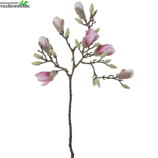  Magnoliasteel L70cm Cerise (Zijde-bloem)