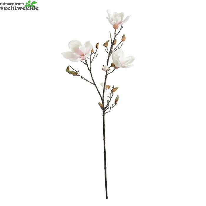  Magnoliasteel L88cm Roze