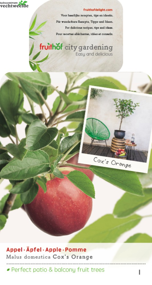  Malus D. 'Cox's Orange Pippin'